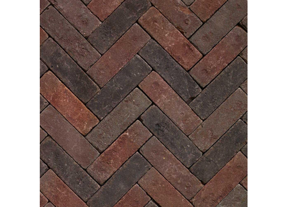 132029