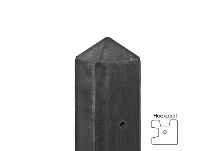 299111